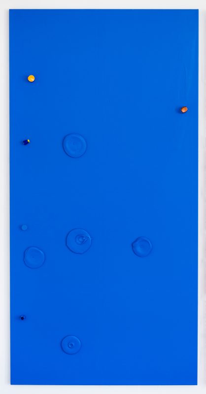 Colour Garden 1, 2015 - 200 x 100 cm