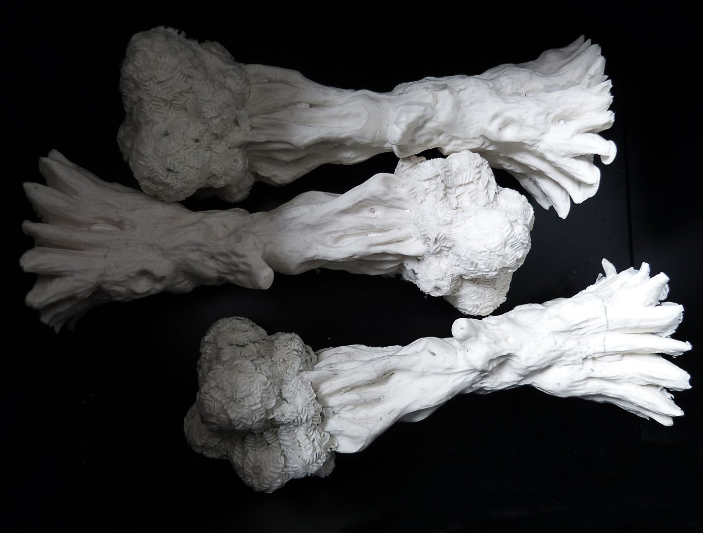 Johanna K Becker : Tritop-tripletop